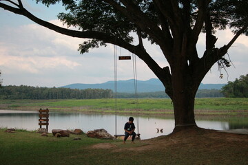 boy rides on the swing under the big tree