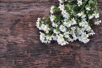 white cutter flowers on copy space on natural daylight wooden background