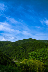 Fototapeta na wymiar 初夏の檜原村　山　風景