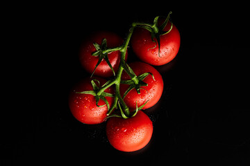 clean fresh red tomatoes on a green stem