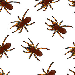 Tarantula pattern seamless in simple style vector illustration