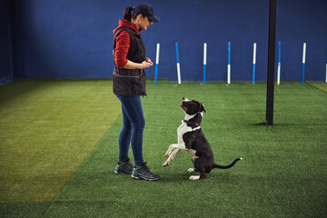 Professional female trainer training a calm puppy