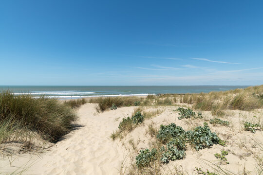 SOULAC, dans le M&eacute;doc (Gironde, France)