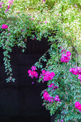 exterior view of a house facade in Provence