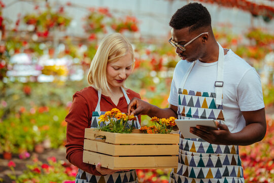 Diverse coworkers working together in greenhouse - Powered by Adobe