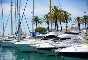 Fototapeta premium yatchs docked on a marina in Southern Spain