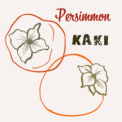 Persimmon or kaki line art hand-drawn multicolor modern vector illustration. Colorful line art exotic fruit design.