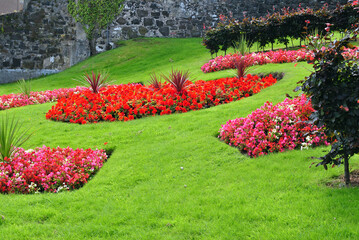 Colourful Floral Display on Grassy Slope of Public Garden 