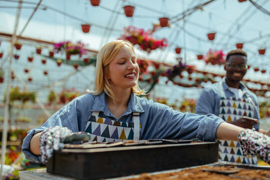 Two young florists working with flowers in greenhouse