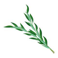 Illustration of willow branches Happy Sukkot traditional symbol.