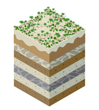 Forest farm Soil layers geological and underground