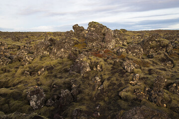 Views of moss covered lava fields and milky blue waters near the Blue Lagoon, Iceland