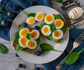 Egg sandwich with spinach and blueberries
