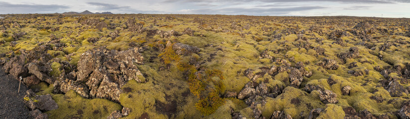 Views of moss covered lava fields and milky blue waters near the Blue Lagoon, Iceland
