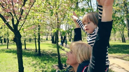 A little boy in a striped T-shirt sits on the shoulders of the blonde's mom. A family admires the cherry blossoms on a sunny day.