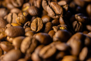 Many roasted coffee beans close up