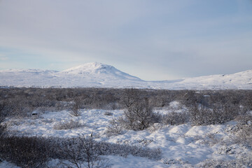 Fototapeta na wymiar Thingvellir national park, Golden Circle, Iceland