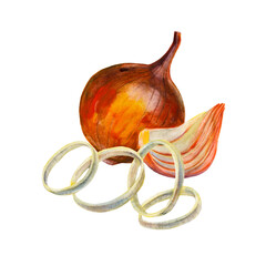 Onions bulb and slice and funyuns spice. Onion set  isolated on white background. Watercolor hand drawn illustration. - 436671701