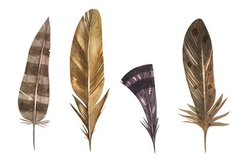 Watercolor feathers set in ethnic boho indie style. Hand painted and ideal for use in printing. Wedding invitations, party, birthday illustration.