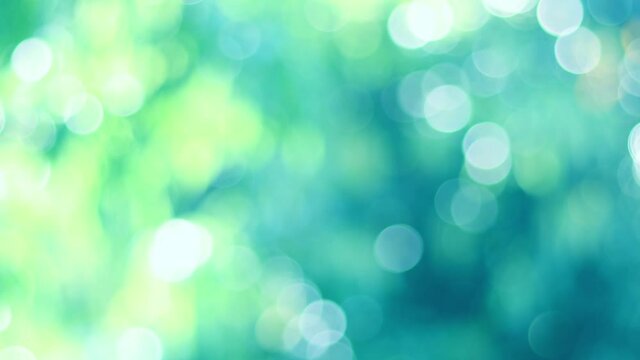 Blur bokeh light background .Summer concept of abstract nature blurred background. Sun breaking through  leaves blurred bokeh background.