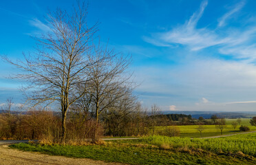 Fototapeta na wymiar German countryside. Trees and blue sky