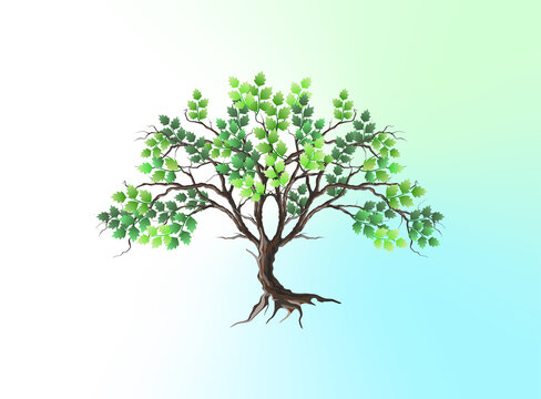 beautiful tree image, vector illustration for home decor
