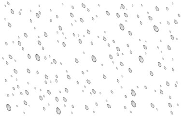 Fototapeta na wymiar Rain drops isolated on transparent background.