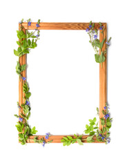 Empty floral frame of green leaves and small blue flowers on a white background. Greeting card template with copyspace. Floral layout. The concept of beauty, nature. Flat lay, copyspace
