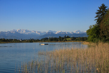 Fototapeta na wymiar Clear spring morning at the shore of Lake Pfaffikon, Switzerland.