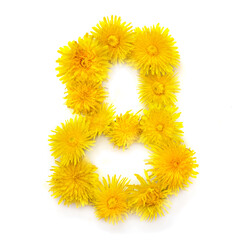 Number 8 of yellow dandelions flowers