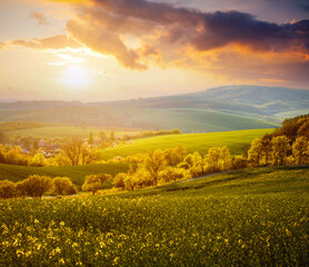 Obraz premium Fantastic rural landscape at dawn. Beautiful sunlight on the wavy fields.