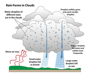 Rain drop formation in a science diagram. How rain forms as warm air rises and condenses. Rain droplets collide and grow.