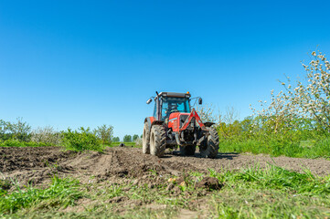Naklejka premium The farmer is ready to lay potatoes, late May, and early June