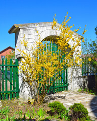 Vladimir Church was built in 1789 by the famous Russian architect Vasily Bazhenov in the...