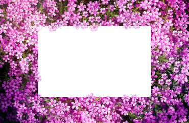 Beautiful floral background with small patterns. Large white sheet in the center for the inscription