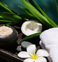 Fototapeta na wymiar Balinese spa setting, frangipani with sea salt and coconut. Hot Stone Massage Set.