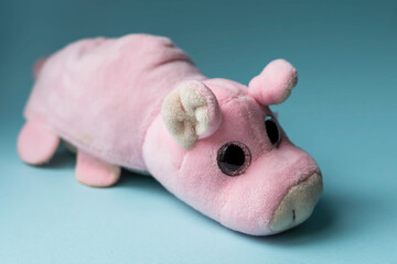 Plush toy pink pig on a blue background. Indoors, day light Front view.