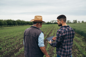 agricultural subsidies. workers talking on corn field