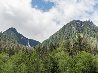 Mountains in the forest