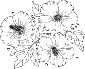 black and white flowers