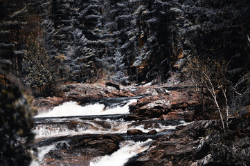 Rapids, very scenic flowing water