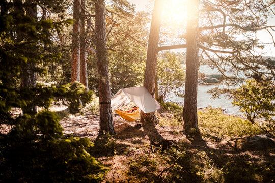 Mature man relaxing in hammock at lakeshore during sunny day