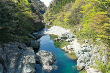 愛媛県久万高原町　面河川の風景