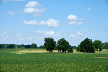 paesaggio