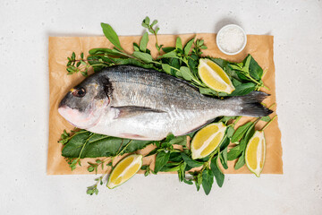 Uncooked fish with lime and herbs on a gray concrete background. Raw gilt-head bream. Free space for text.