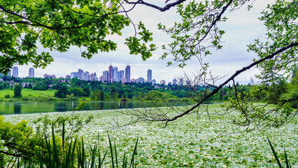 Fototapety na wymiar - Fototapeta24.pl