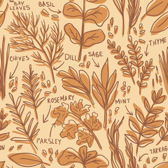 Herbs pattern - hand-drawn childish vector seamless pattern - for kitchen  fabric, wrapping, textile, wallpaper, background.