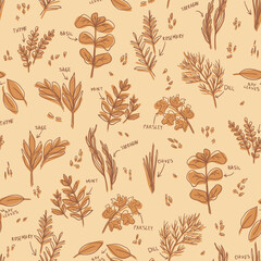 Herbs pattern - hand-drawn childish vector seamless pattern - for kitchen  fabric, wrapping, textile, wallpaper, background.