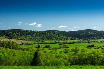 Fototapeta na wymiar Beautiful Landscape on Poland and Ukraine Border Frontier . Nature in Bieszczady Park.