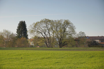 An der Mangfall bei Bruckm&uuml;hl